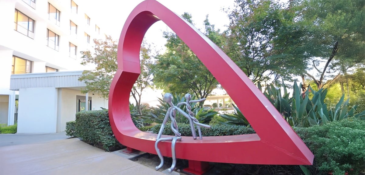 Heart at Saint Agnes